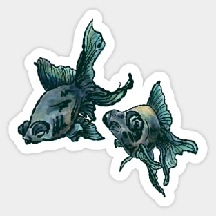 Black Moor Goldfish Sticker